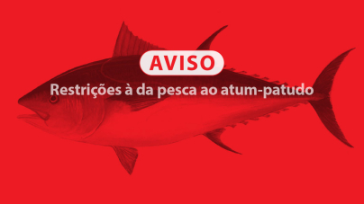 Restrições ao exercício da pesca dirigida ao atum-patudo